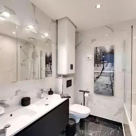 Daire Luxe Des Champs-elysee Paris