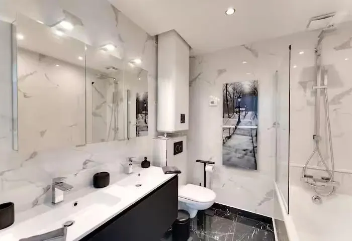 Daire Luxe Des Champs-elysee Paris